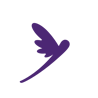 Damiza logo