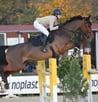 equitazione salto ostacoli