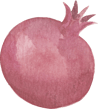 watercolor pomegranate