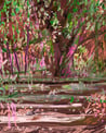 Digital collage - Lutyen's steps