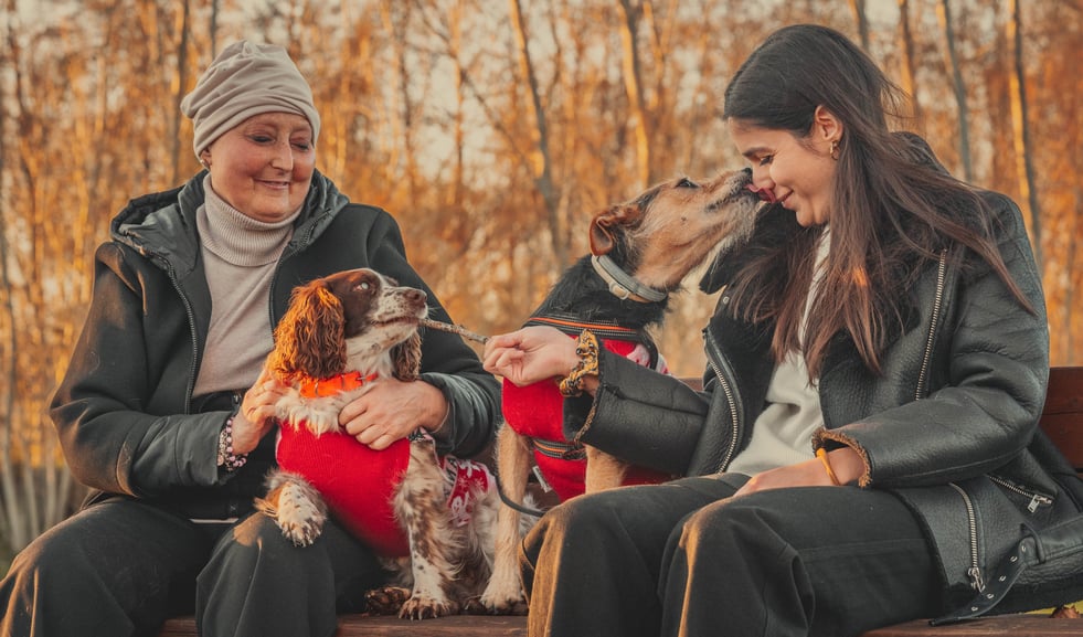 ragazza che gioca coi cani e la mamma sedute su una panchina