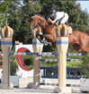 Equitazione salto ostacoli