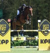 campionato italiano salto ostacoli