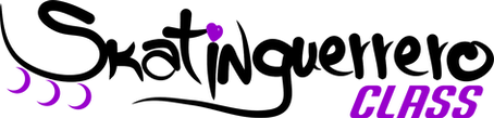 Logo Skatinguerrero