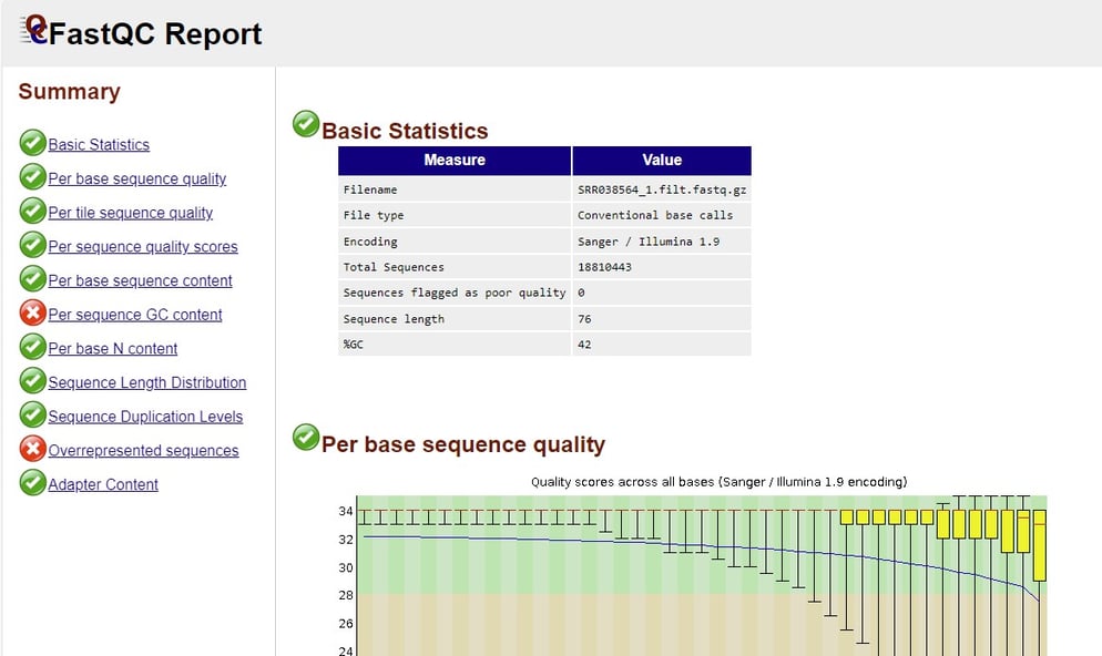 FastQC Report