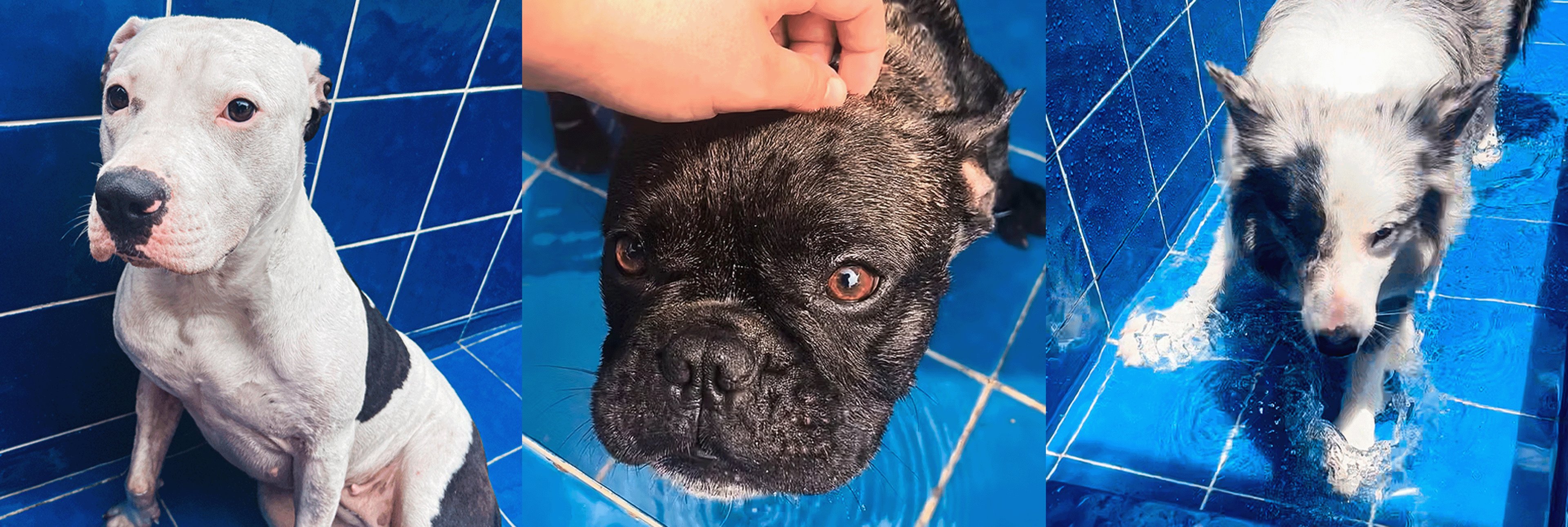 black blue and yellow textile