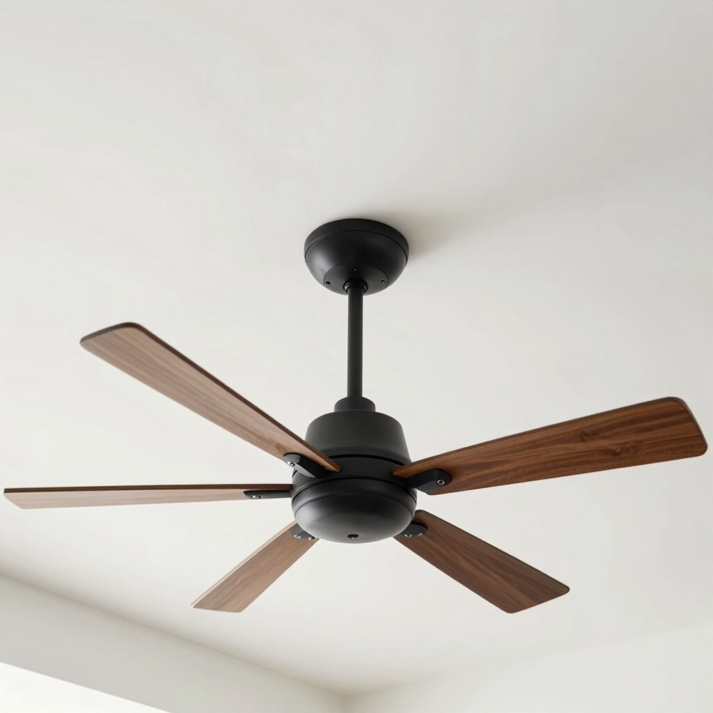 Lighting & Ceiling Fan Installation