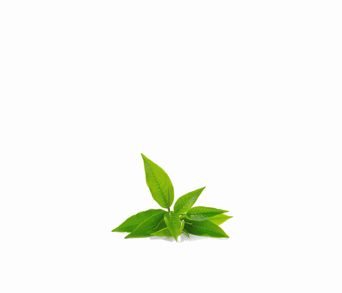 Онлайн магазин Чая в Испании № 1 TeaShop.Icu