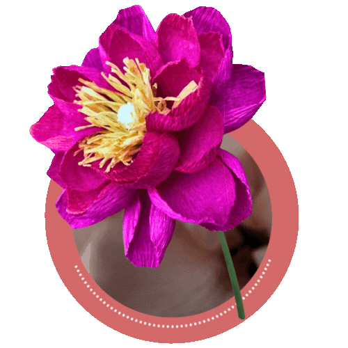Handcrafted balloon bouquets & crepe paper florals for unforgettable events. dubai ,sharjah