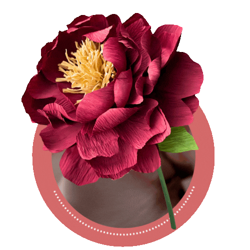 Handcrafted balloon bouquets & crepe paper florals for unforgettable events. dubai ,sharjah