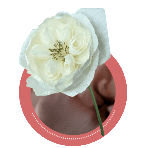 Handcrafted balloon bouquets & crepe paper florals for unforgettable events. dubai ,sharjah