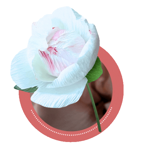 Handcrafted balloon bouquets & crepe paper florals for unforgettable events. dubai ,sharjah