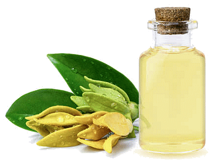 ylang ylang essential oil