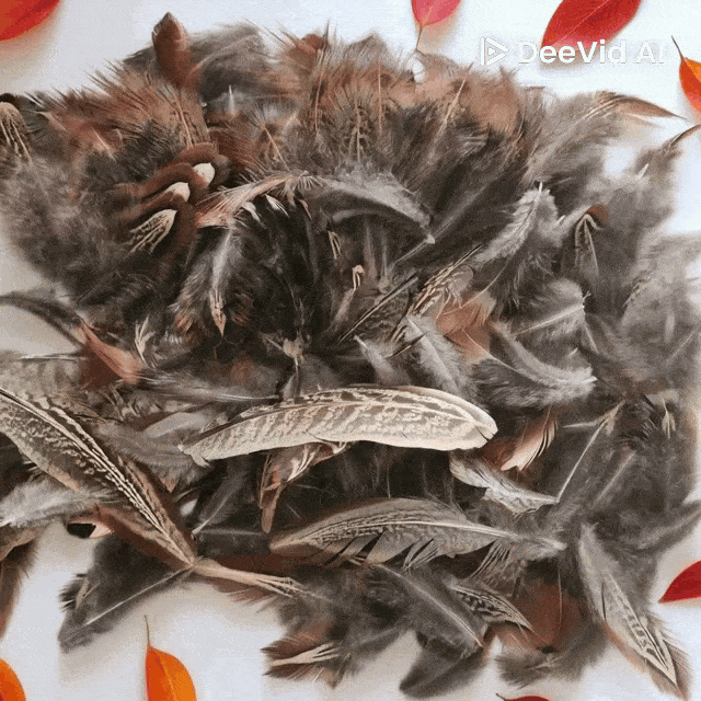 woman holding dried flower