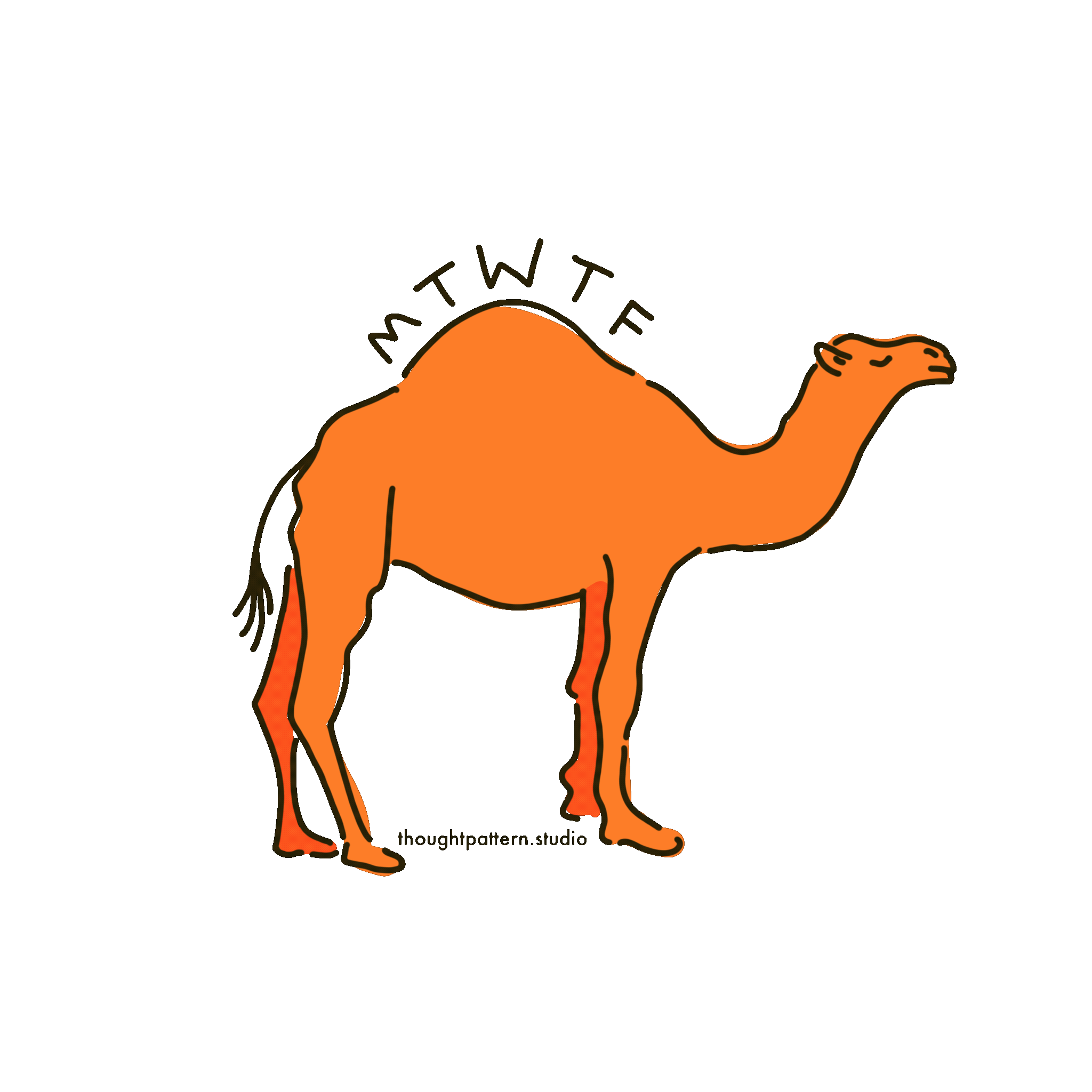 one hump camel