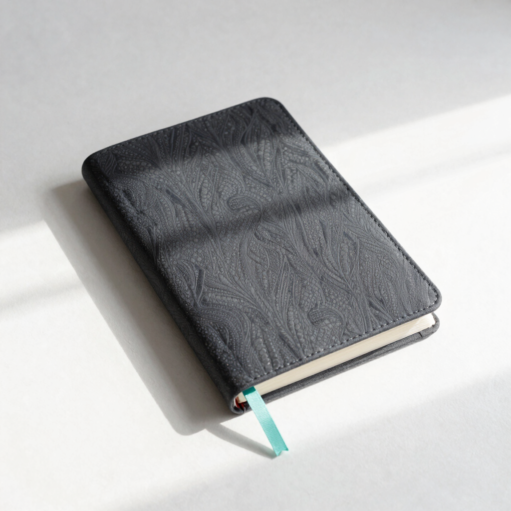 Daily Alignment Journal
