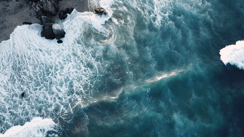 black and brown leather padded tub sofa