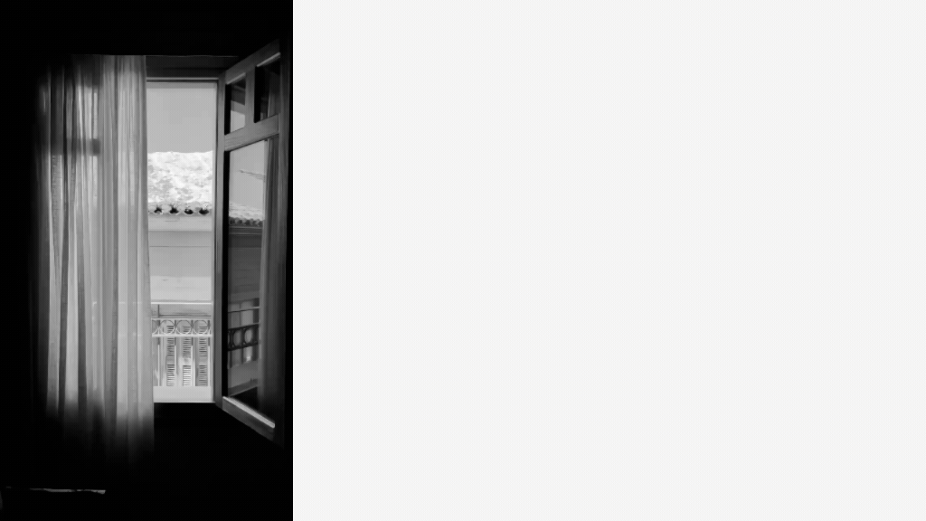 Brown cow grazing in a green meadow with forest.