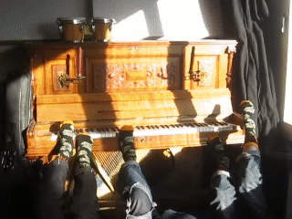 black and white bed linen