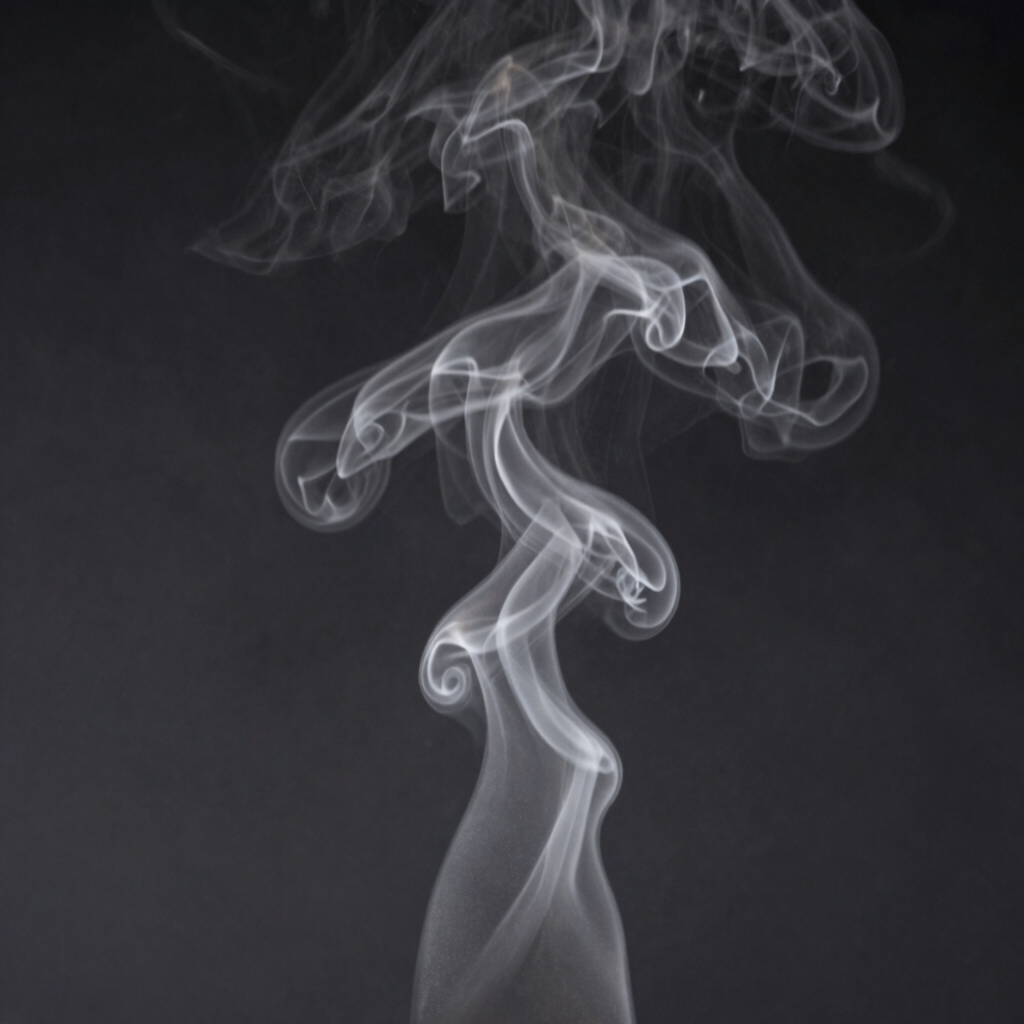 Breathwork & Vagus Nerve Calibration