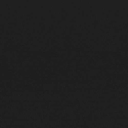 BLACK LANE logo
