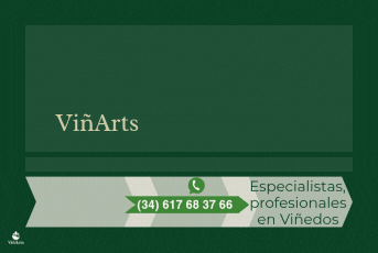 Manteniment ecològic i professional de vinyes a Mallorca | ViñArts Mallorca