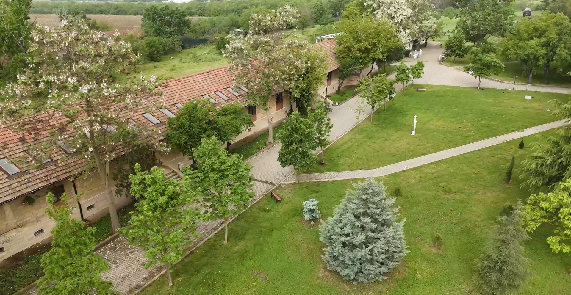 Kampüs Fotoğrafı 3