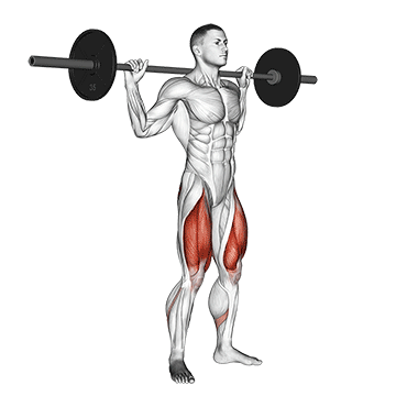 Ilustração de homem fazendo agachamento com barra, destacando quadríceps, glúteos e panturrilhas.