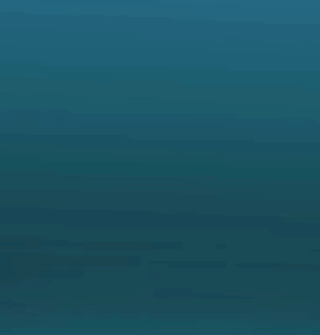 HironPhoenix logo