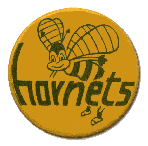 Lakeland High School Class of 1975 50th Reunion logo