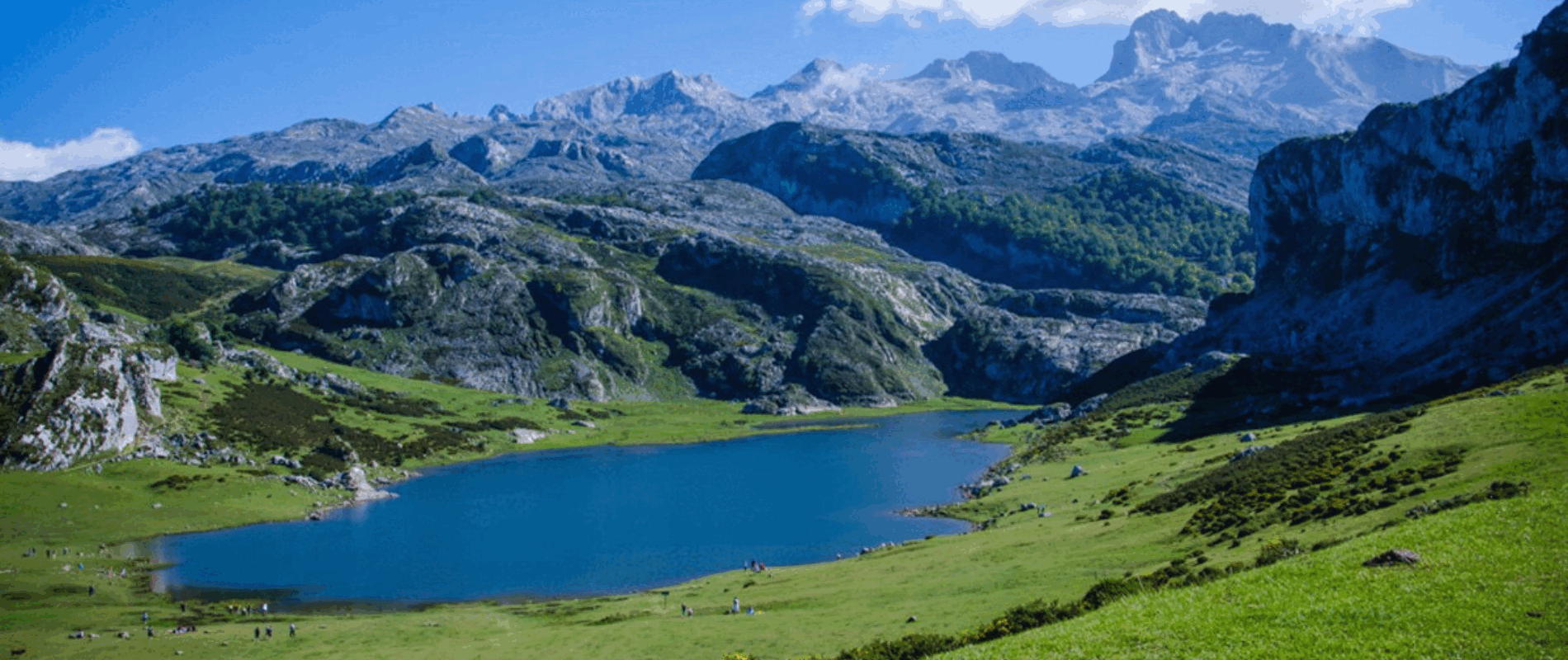 Picos de Europa