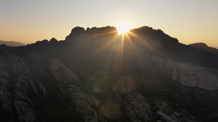 black and white bed linen