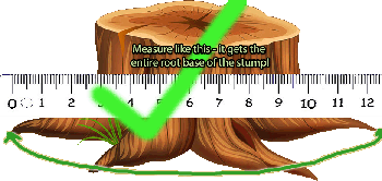 How TO measure your stump!