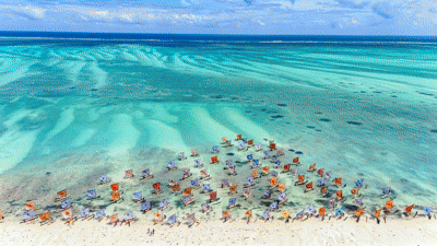 a group of people sitting on a beach