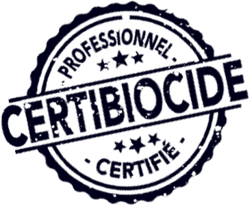 Équipe certifiée Certibiocide en intervention