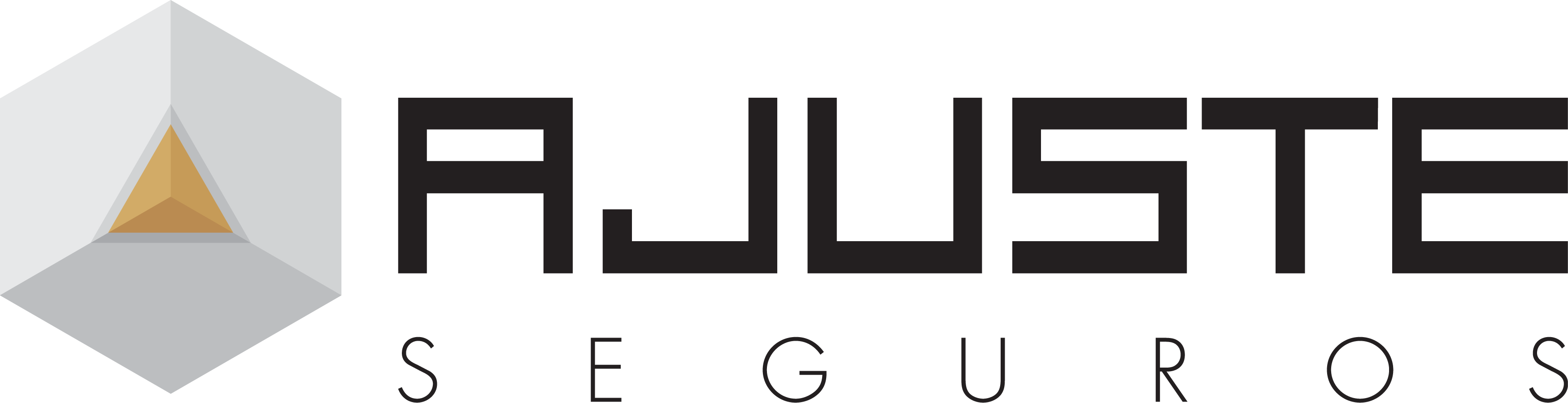 Ajuste Corretora de Seguros logo