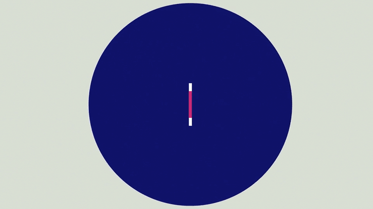 Swiss design animation swissted motion graphics by FEVR motion graphics studio New York 