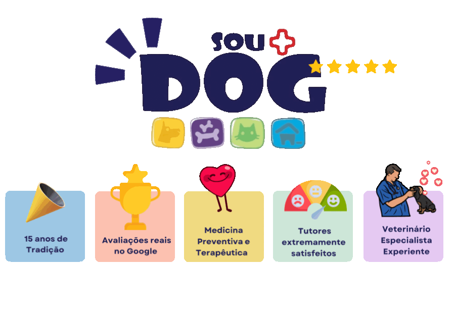 clinica veterinaria experiente maringa