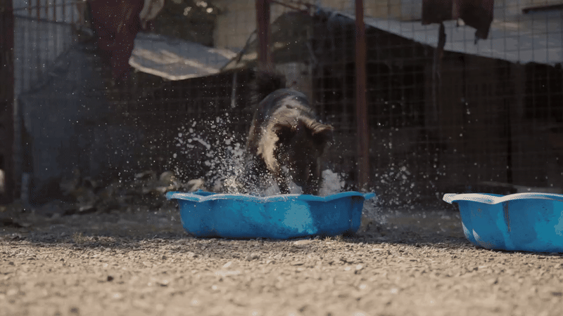 an abstract photo of a curved building with a blue sky in the background