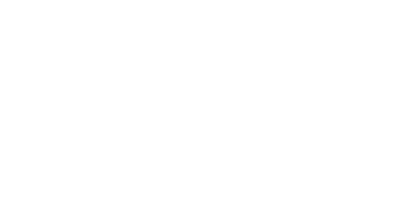EcoHotel Caracoli. logo