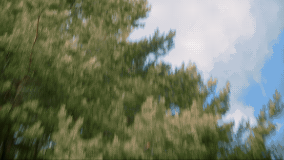 a picture of a two men in a wood holding meat