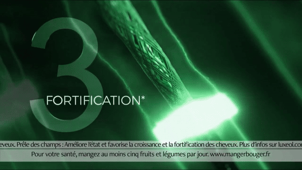 gif 3 fortification