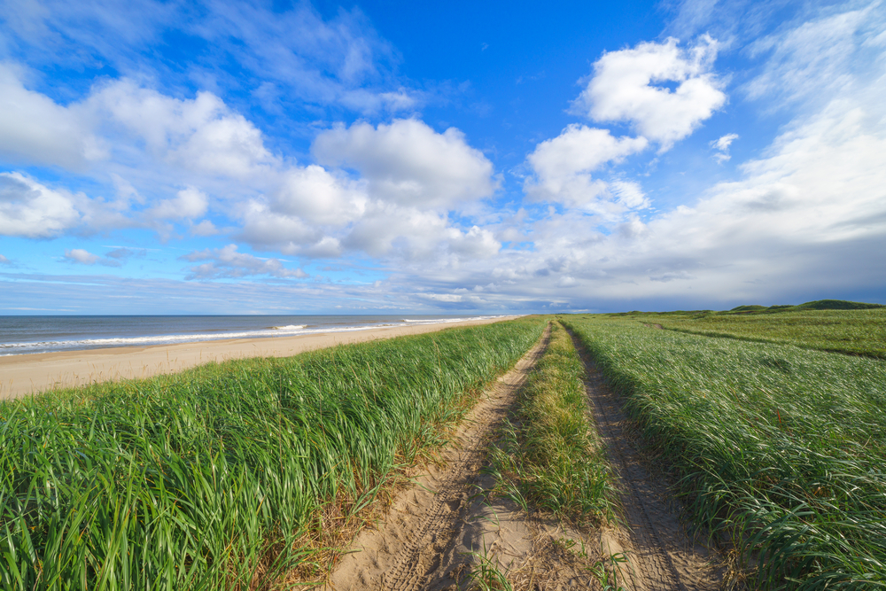 Пляж Охотское