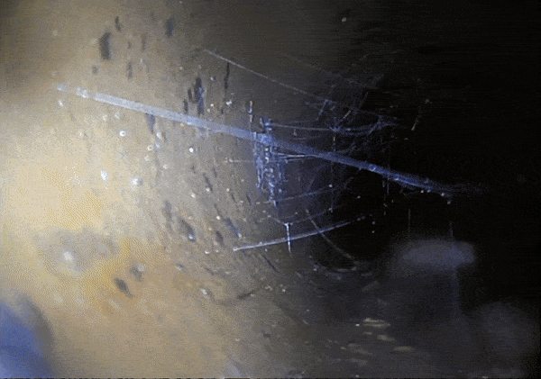 Interior of a drain using our CCTV Drain Survey