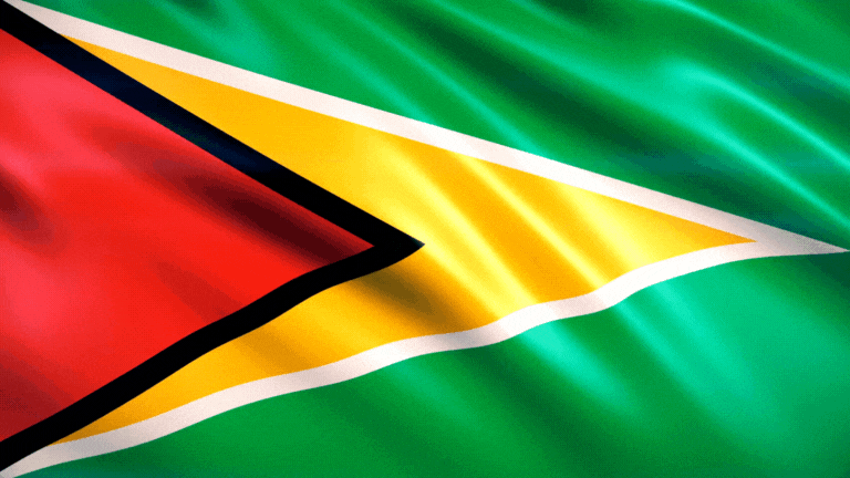 Guyana Flag