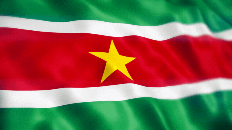 Suriname Flag