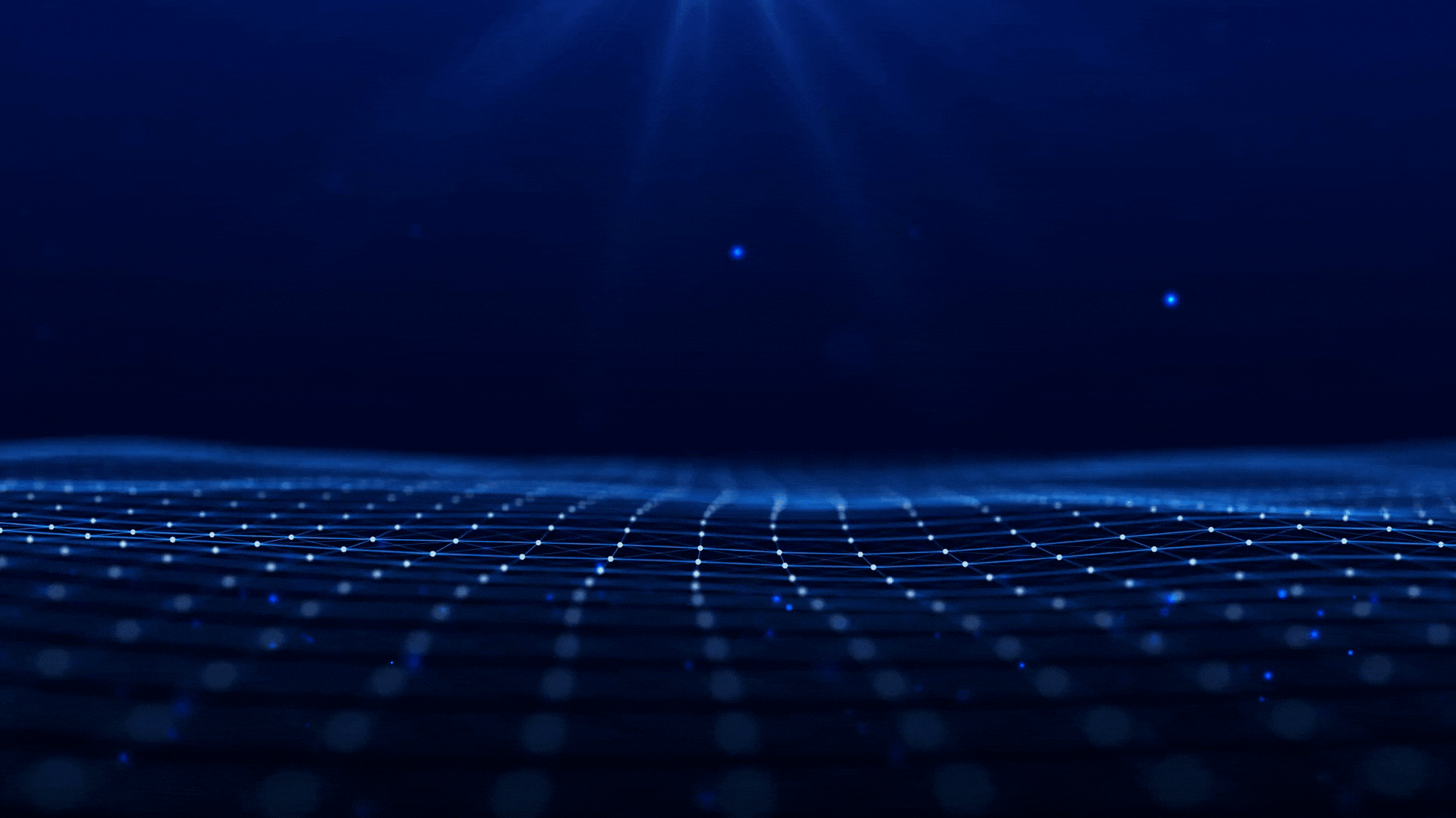 a computer monitor and plants on a table