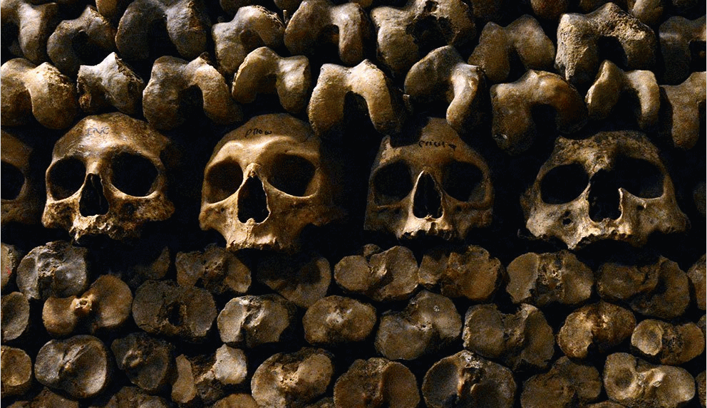 black and white bed linen