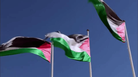 Terrorismo israelense na Palestina