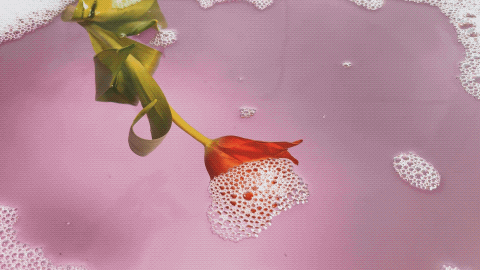 black and white bed linen